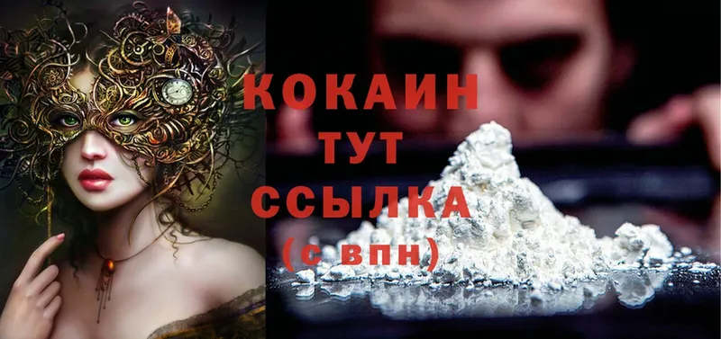 Cocaine Fish Scale  KRAKEN рабочий сайт  Великий Устюг 